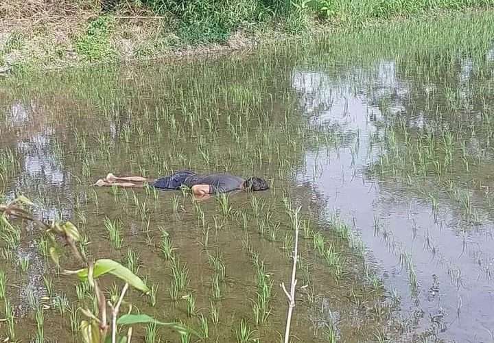 खेतमा घोप्टो परेको अवस्थामा एक पुरुषको शव फेला